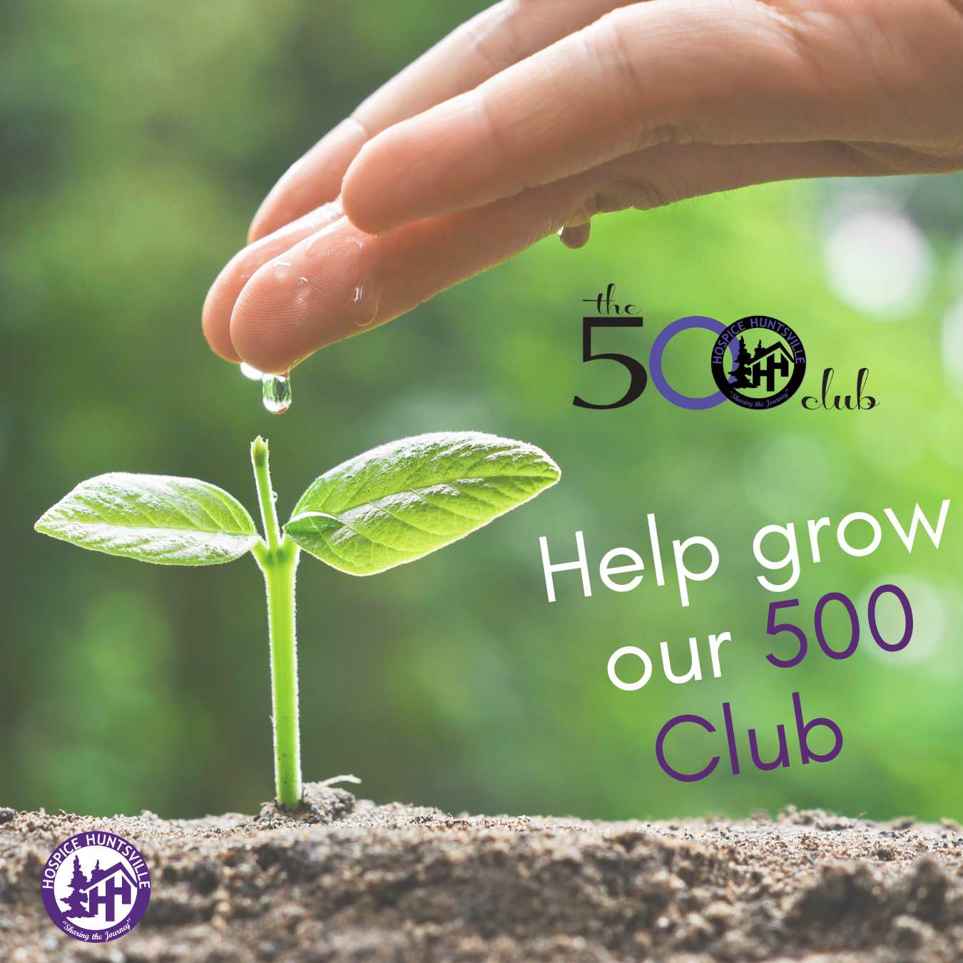 500 Club-Help it Grow_social media